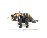 Triceratops